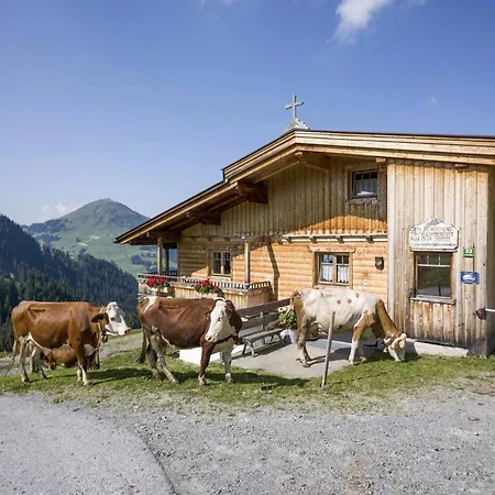 Alm-appartement - Fam. Niedermuehlbichler Apartment